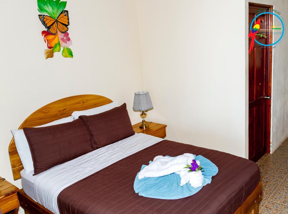 Lodge Ara Macao Drakes Bay