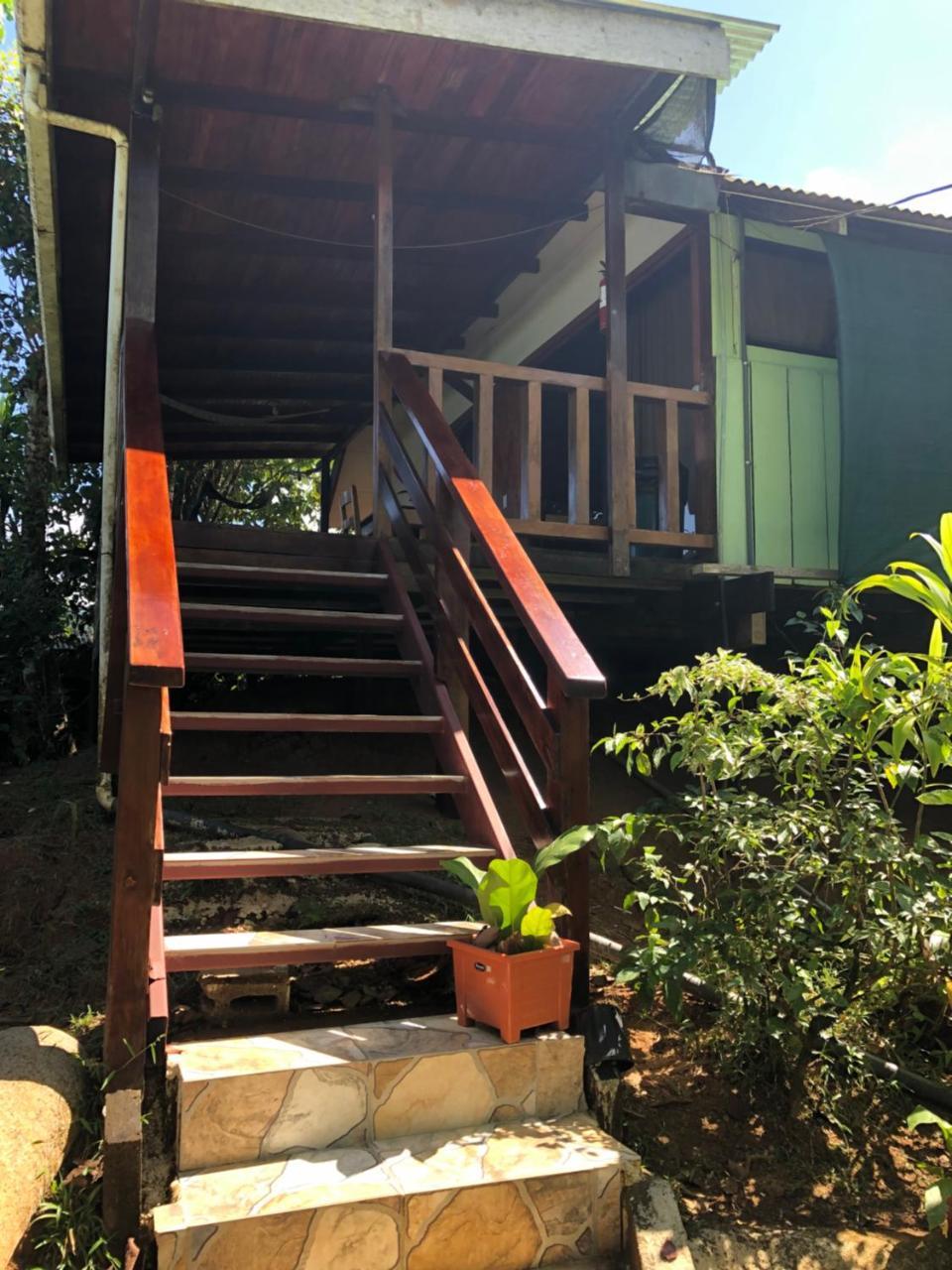 Lodge Ara Macao